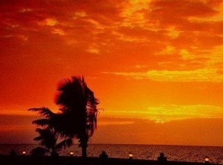  Praia com vento 